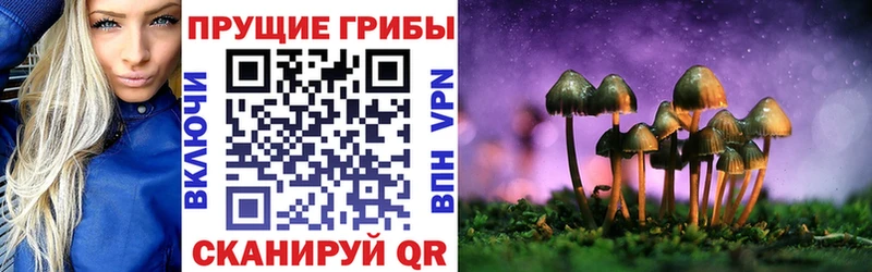 Псилоцибиновые грибы GOLDEN TEACHER Бугуруслан