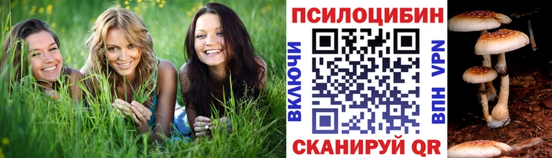 Галлюциногенные грибы ЛСД  Бугуруслан 